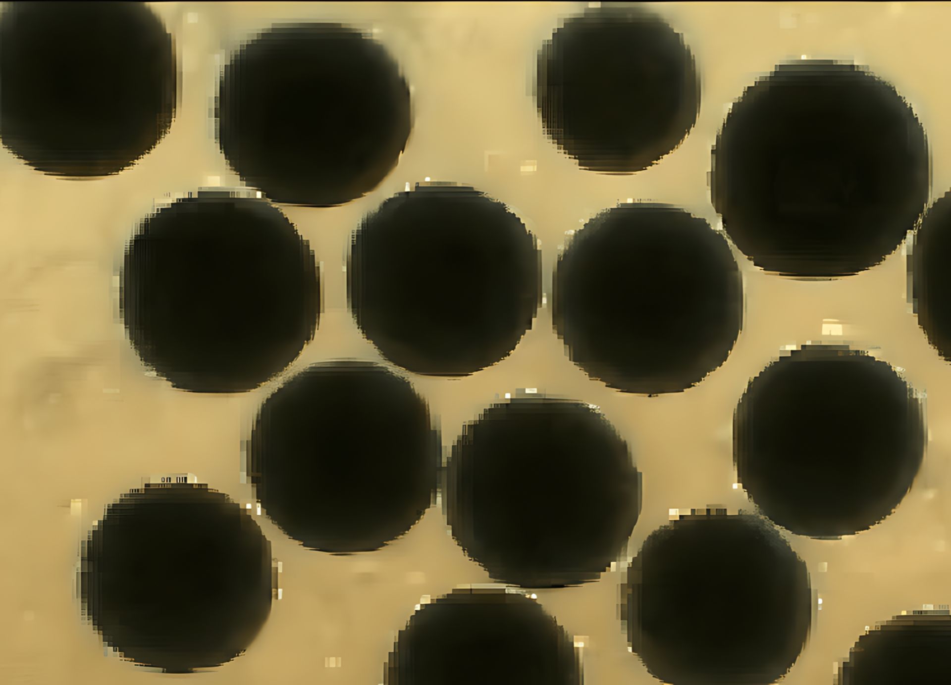 Close-up of uniform, round iPSC aggregates in suspension culture