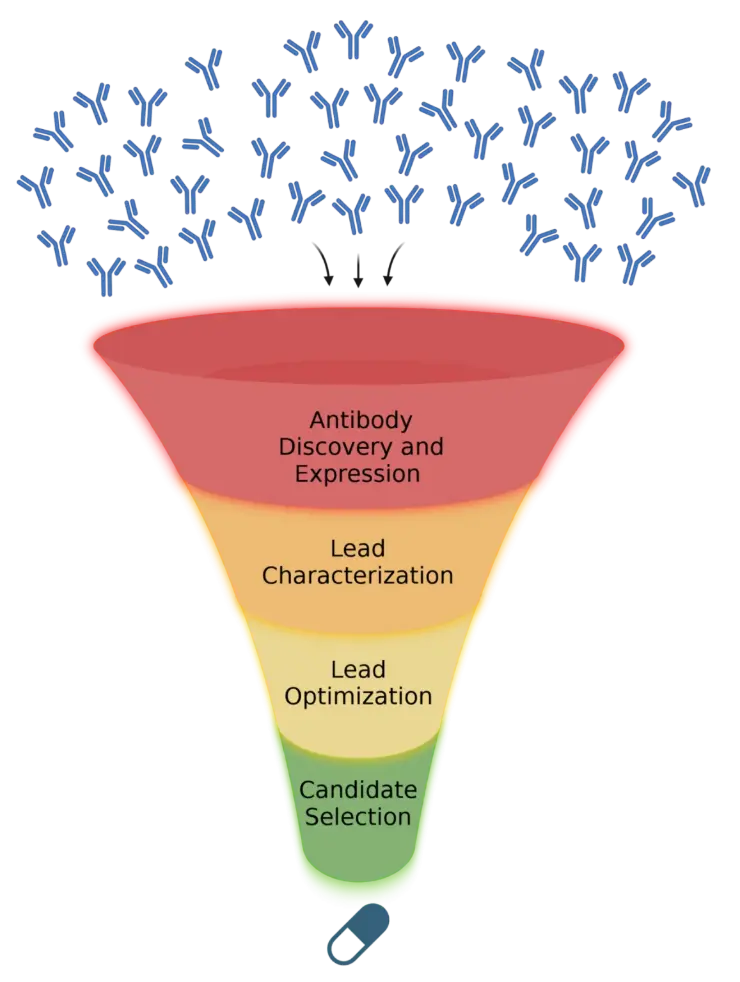 Antibody Discovery Antibody Discovery