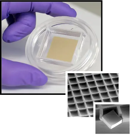 CellRaft Technology CellRaft Technology