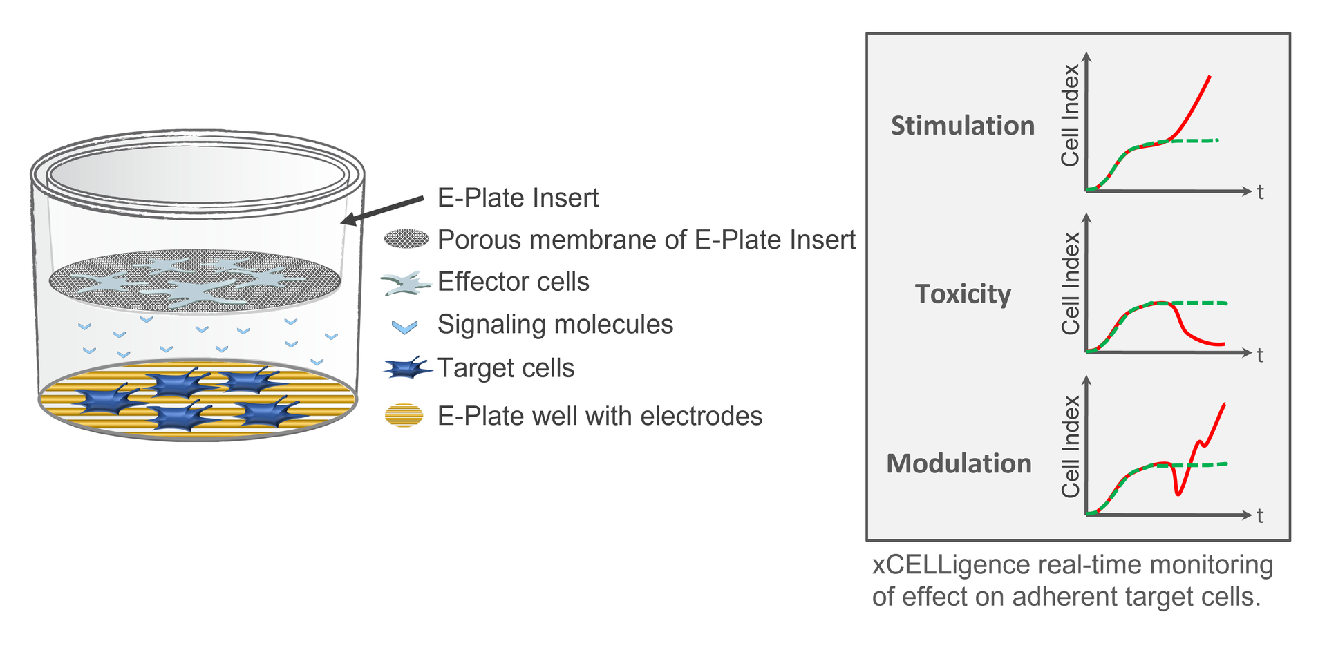 Indirect Cell Insert RTCA E-Plate Inserts | Your Home for Cell Research