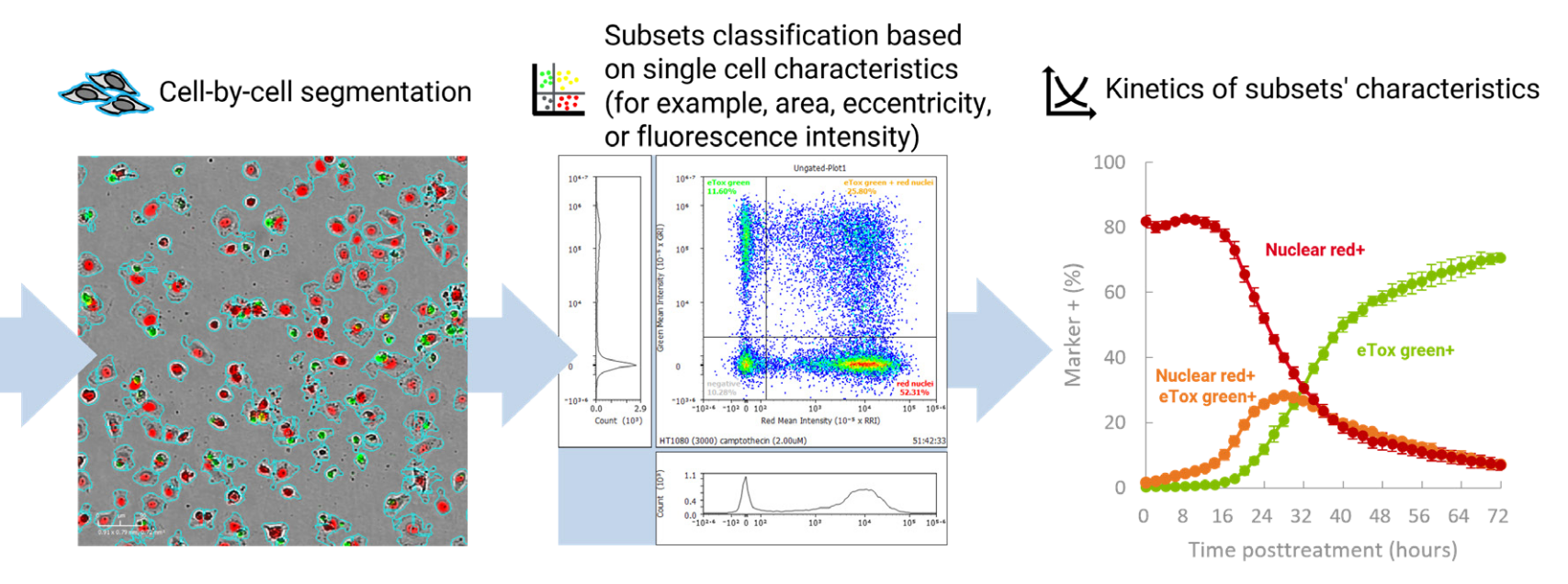 xCELLigence® RTCA | Your Partner for Cell Research