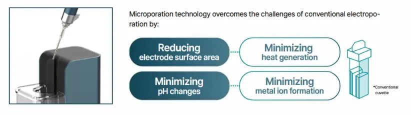 transfection challenges