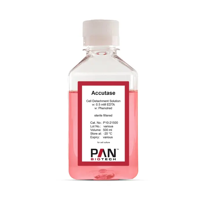 Flasche Accutase-Zellablöselösung von PAN-Biotech