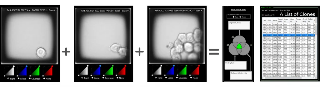 Kolonien in der CellRaft Cytometry Software Kolonien in der CellRaft Cytometry Software