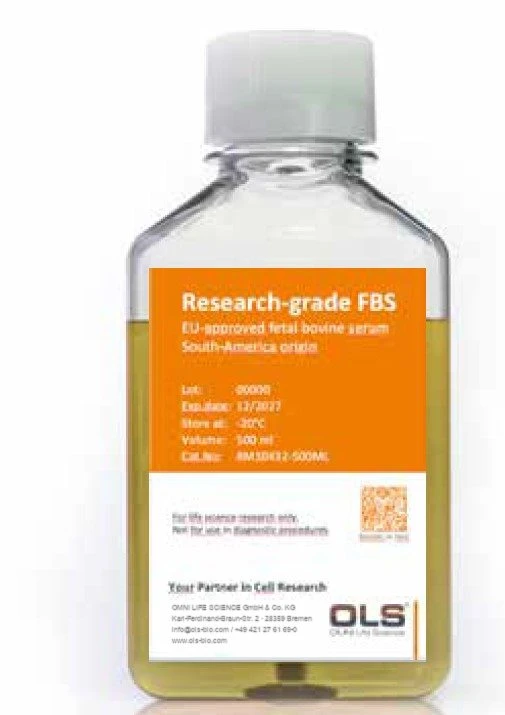 Flasche Research-grade FBS von OLS, EU-zugelassen und südamerikanischer Herkunft