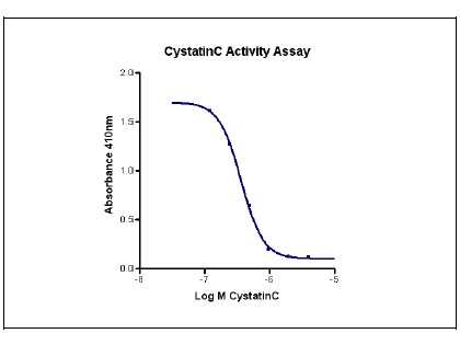 HumanKine® recombinant human Cystatin C protein
