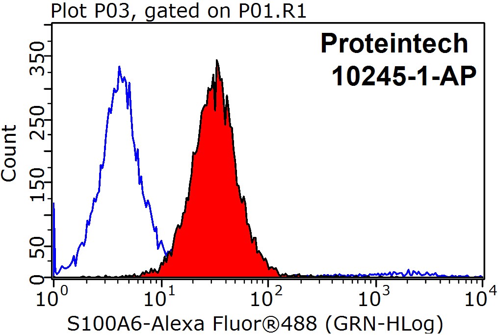 S100A6 Polyclonal antibody