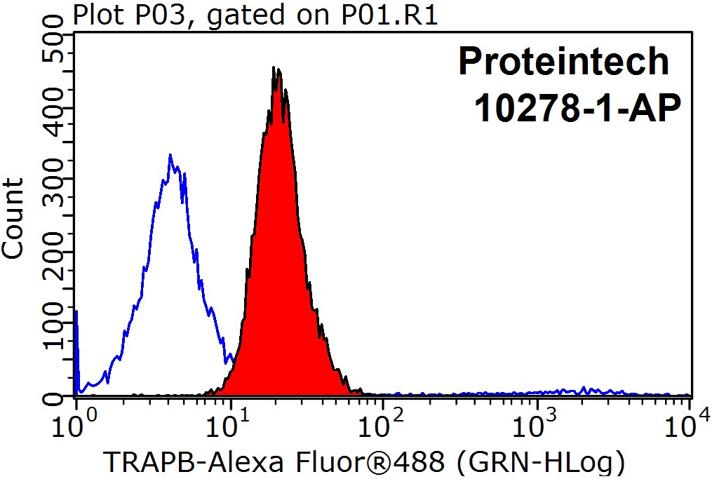 TRAPB/SSR2 Polyclonal antibody