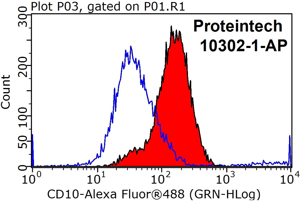 MME,CD10 Polyclonal antibody