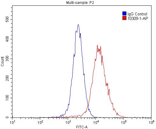 GPRC5A,RAI3 Polyclonal antibody