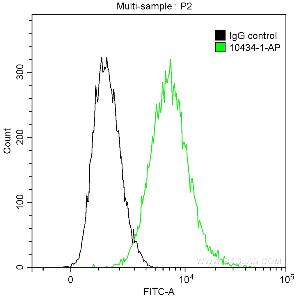 DIABLO Polyclonal antibody