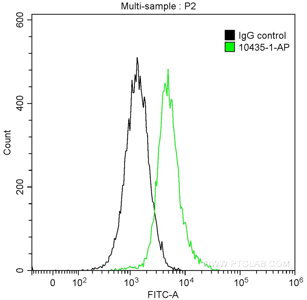 BAD Polyclonal antibody