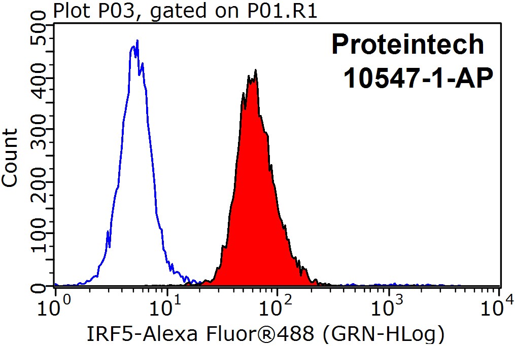 IRF5 Polyclonal antibody