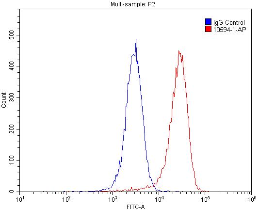 PEX14 Polyclonal antibody