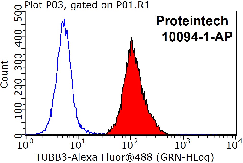 Beta Tubulin Polyclonal antibody
