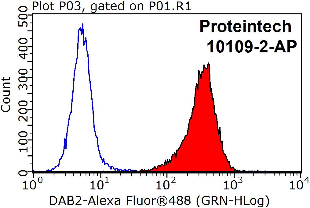 DAB2 Polyclonal antibody
