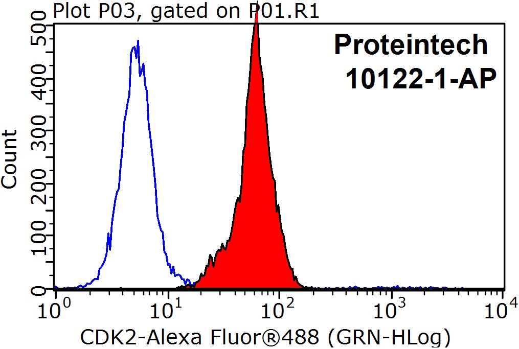 CDK2 Polyclonal antibody