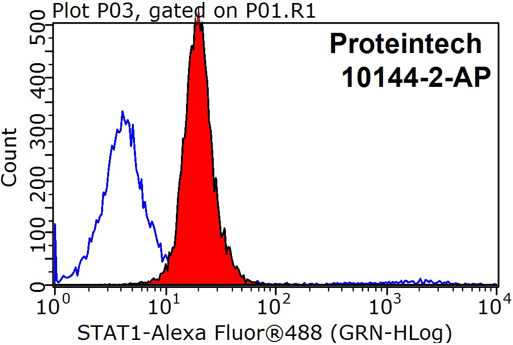 STAT1 Polyclonal antibody