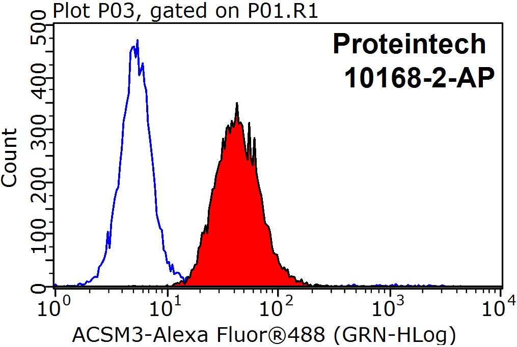 ACSM3 Polyclonal antibody