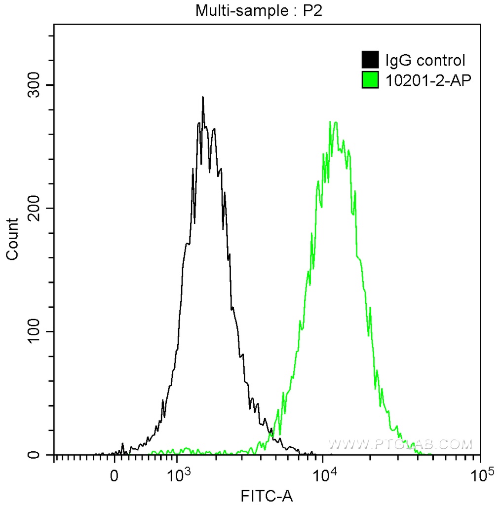 ubiquitin Polyclonal antibody