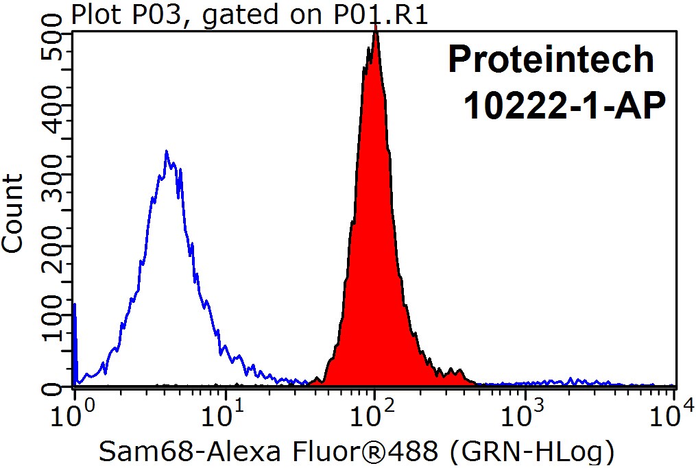 Sam68 Polyclonal antibody