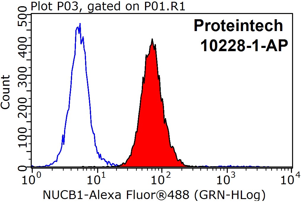 nucleobindin 1 Polyclonal antibody