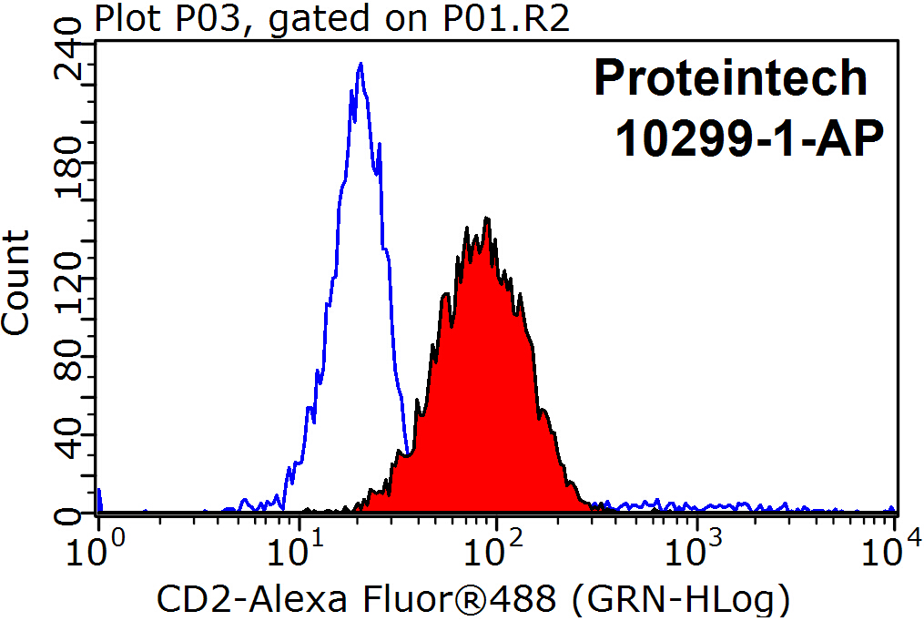 CD2 Polyclonal antibody