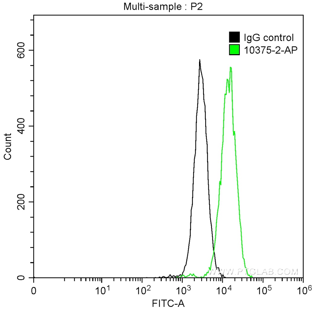 MMP9 (N-terminal) Polyclonal antibody