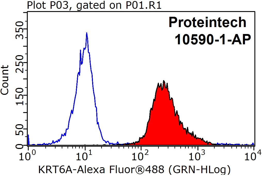Cytokeratin 6A Polyclonal antibody