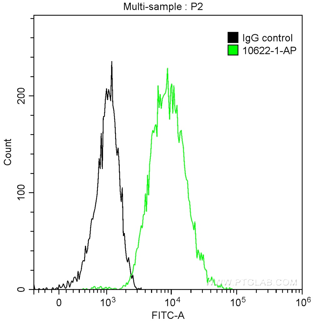 14-3-3 Sigma Polyclonal antibody