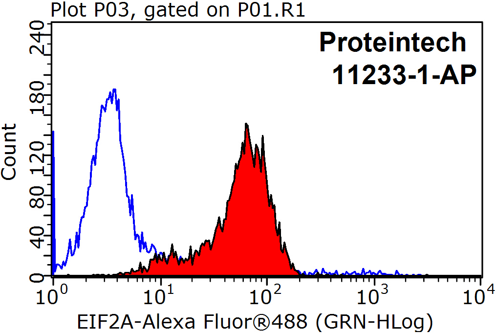 EIF2A/CDA02 Polyclonal antibody