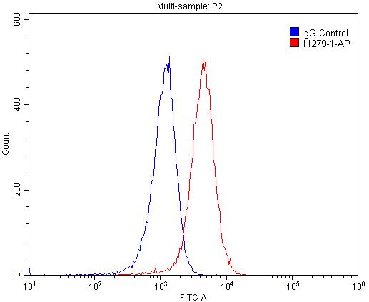 PRMT1 Polyclonal antibody