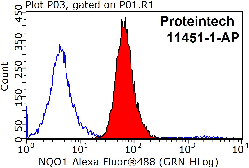 NQO1 Polyclonal antibody
