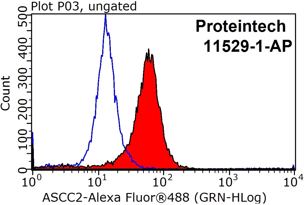 ASCC2 Polyclonal antibody
