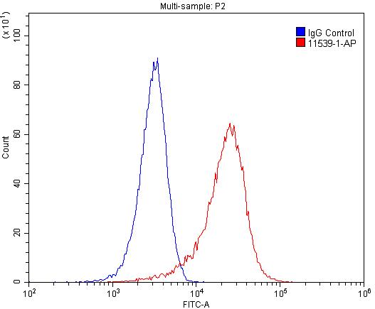 MAGED1 Polyclonal antibody