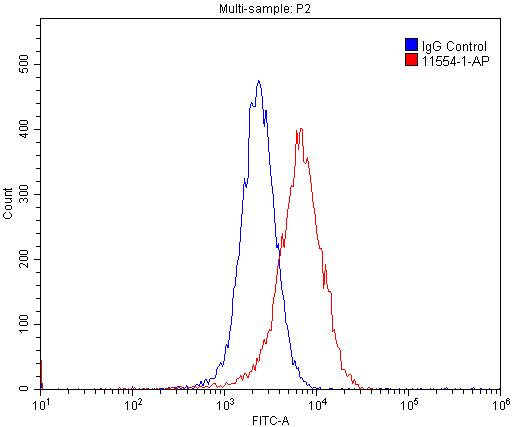 Cyclin E1 Polyclonal antibody