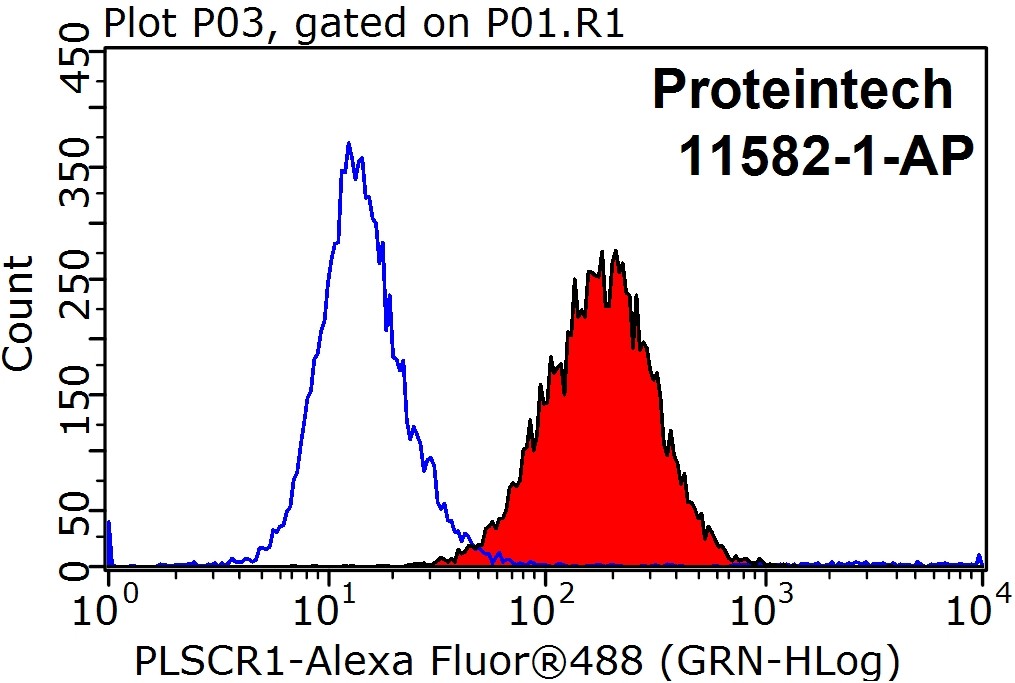 PLSCR1 Polyclonal antibody