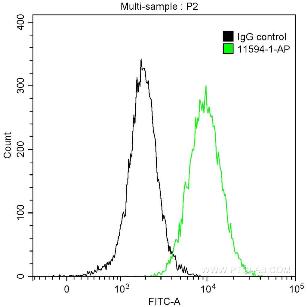 ACP5 Polyclonal antibody