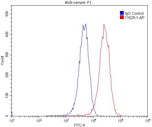 Podoplanin Polyclonal antibody