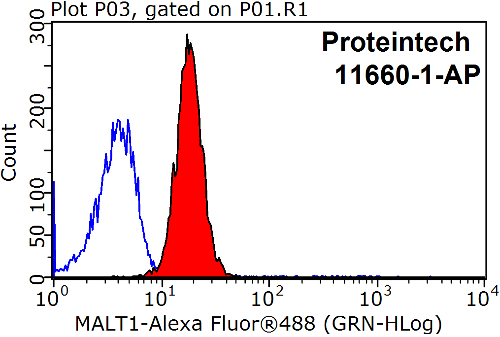 MALT1 Polyclonal antibody