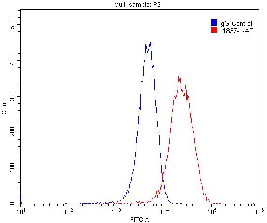 OLR1 Polyclonal antibody