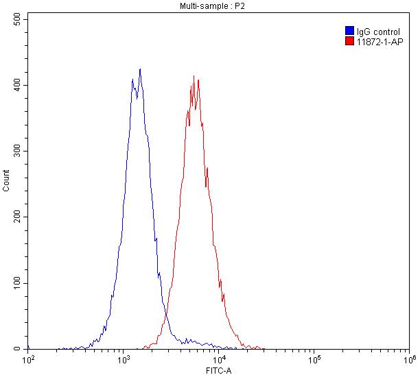 TIM3 Polyclonal antibody