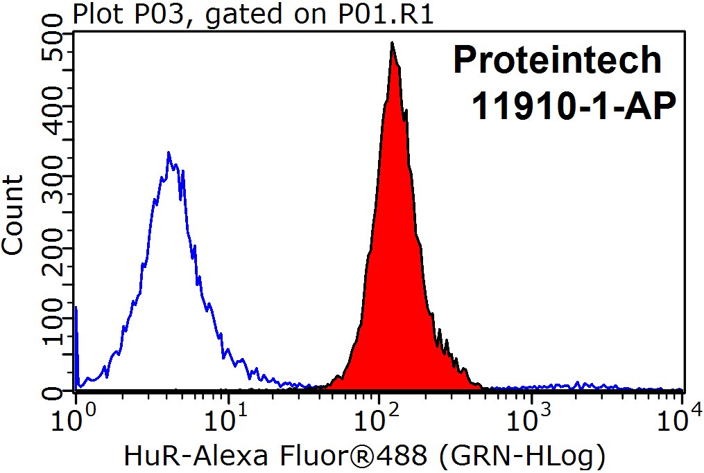 HuR Polyclonal antibody