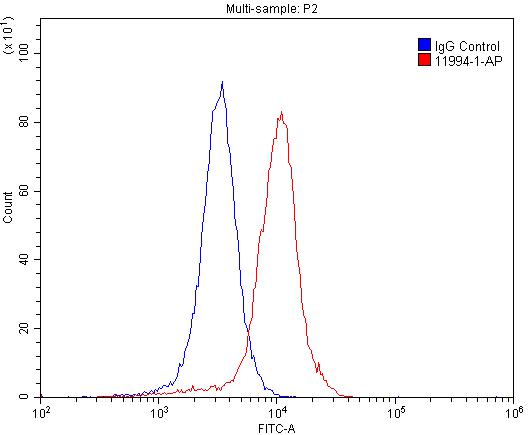Glutamate receptor 2 Polyclonal antibody