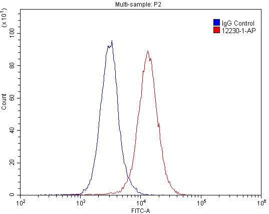 RBBP9 Polyclonal antibody