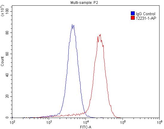 NT5E/CD73 Polyclonal antibody