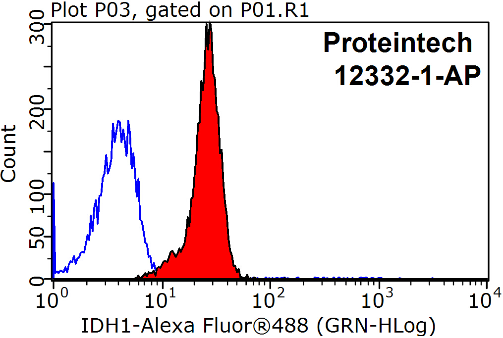 IDH1 Polyclonal antibody