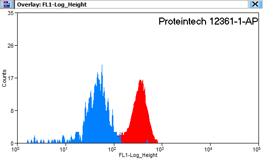 Hemoglobin Epsilon Polyclonal antibody