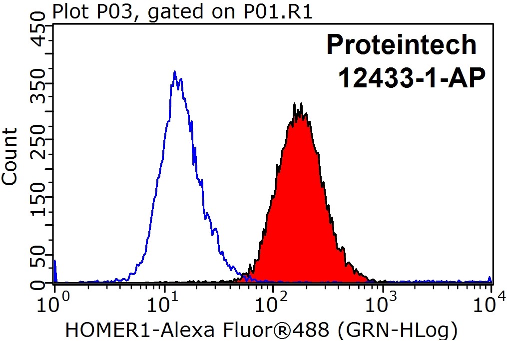HOMER1 Polyclonal antibody