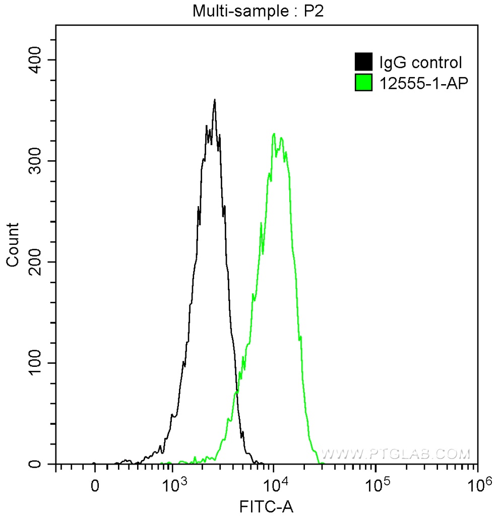 PrP Polyclonal antibody